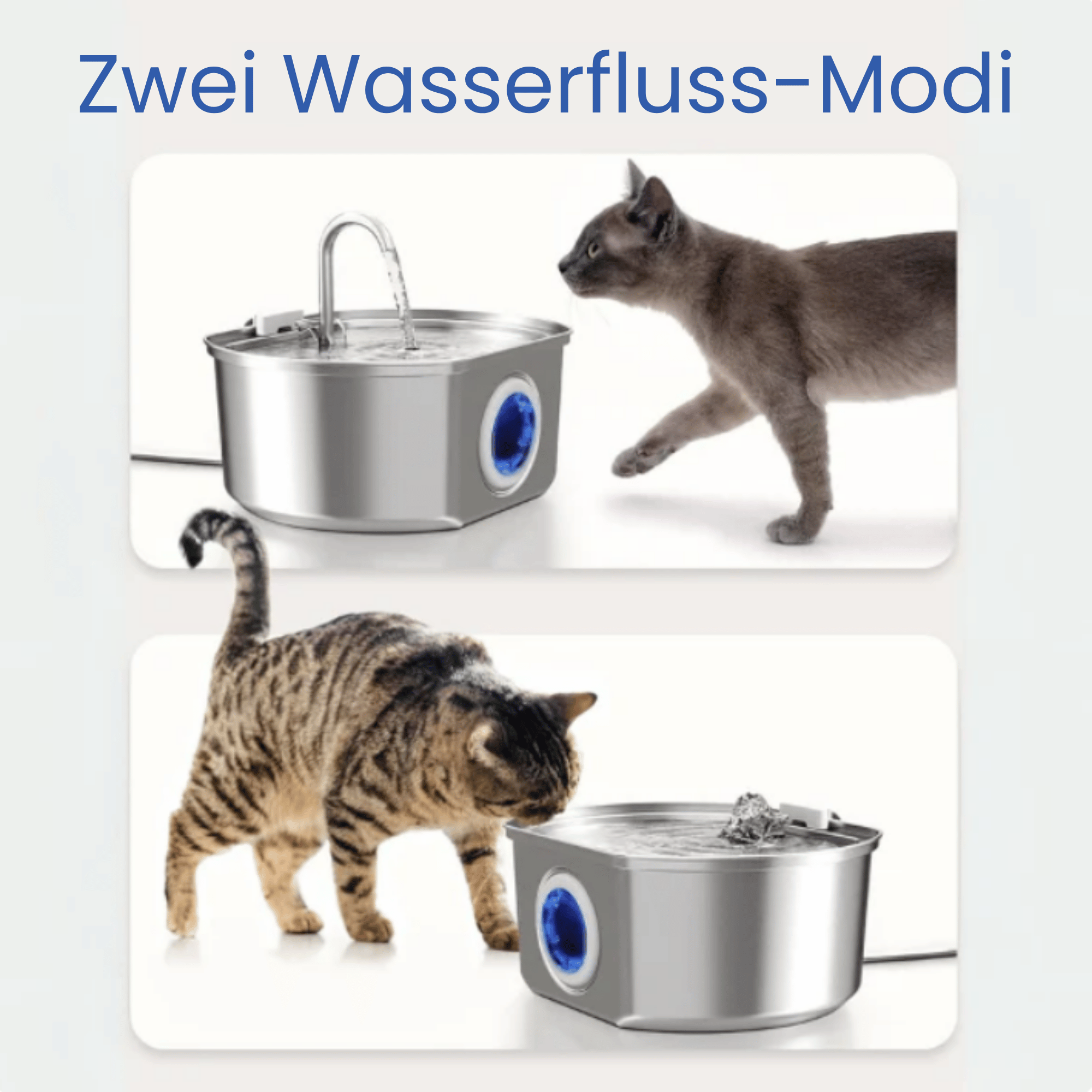KatzenQuelle™