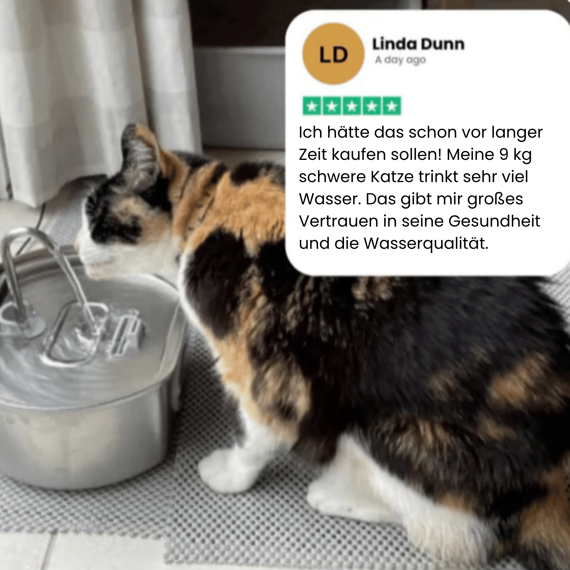 KatzenQuelle™