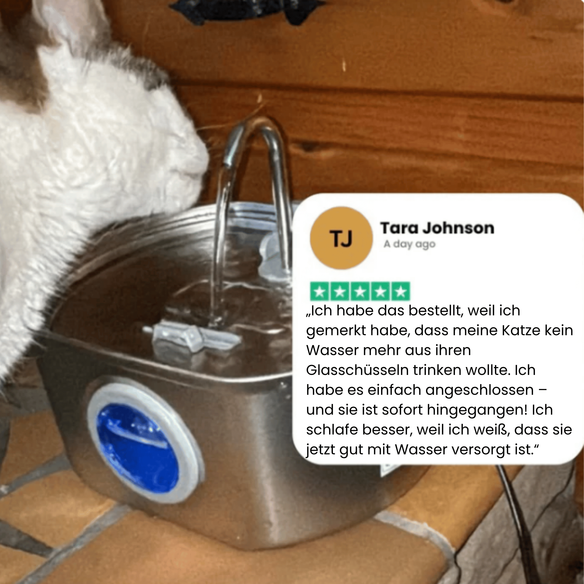 KatzenQuelle™