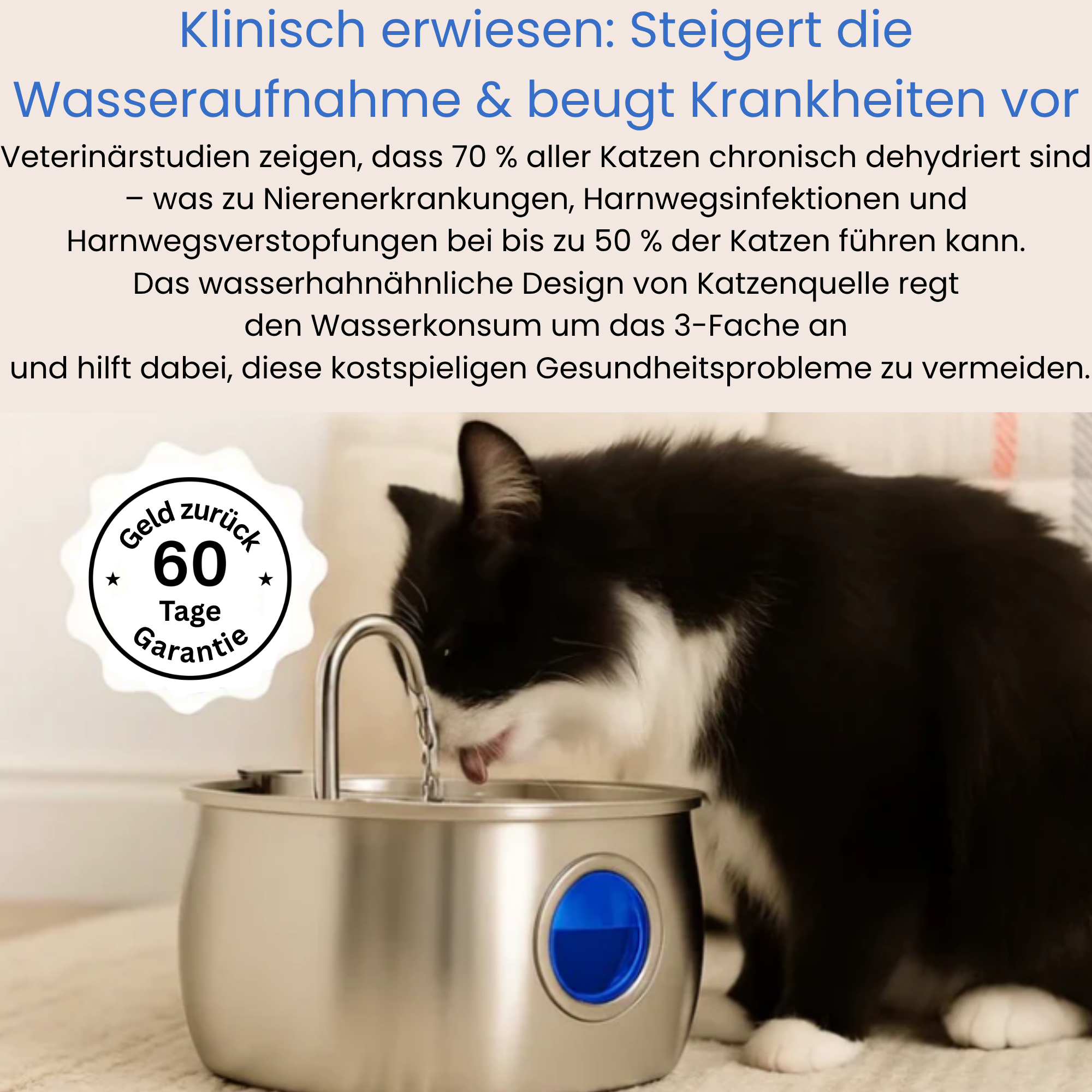 KatzenQuelle™
