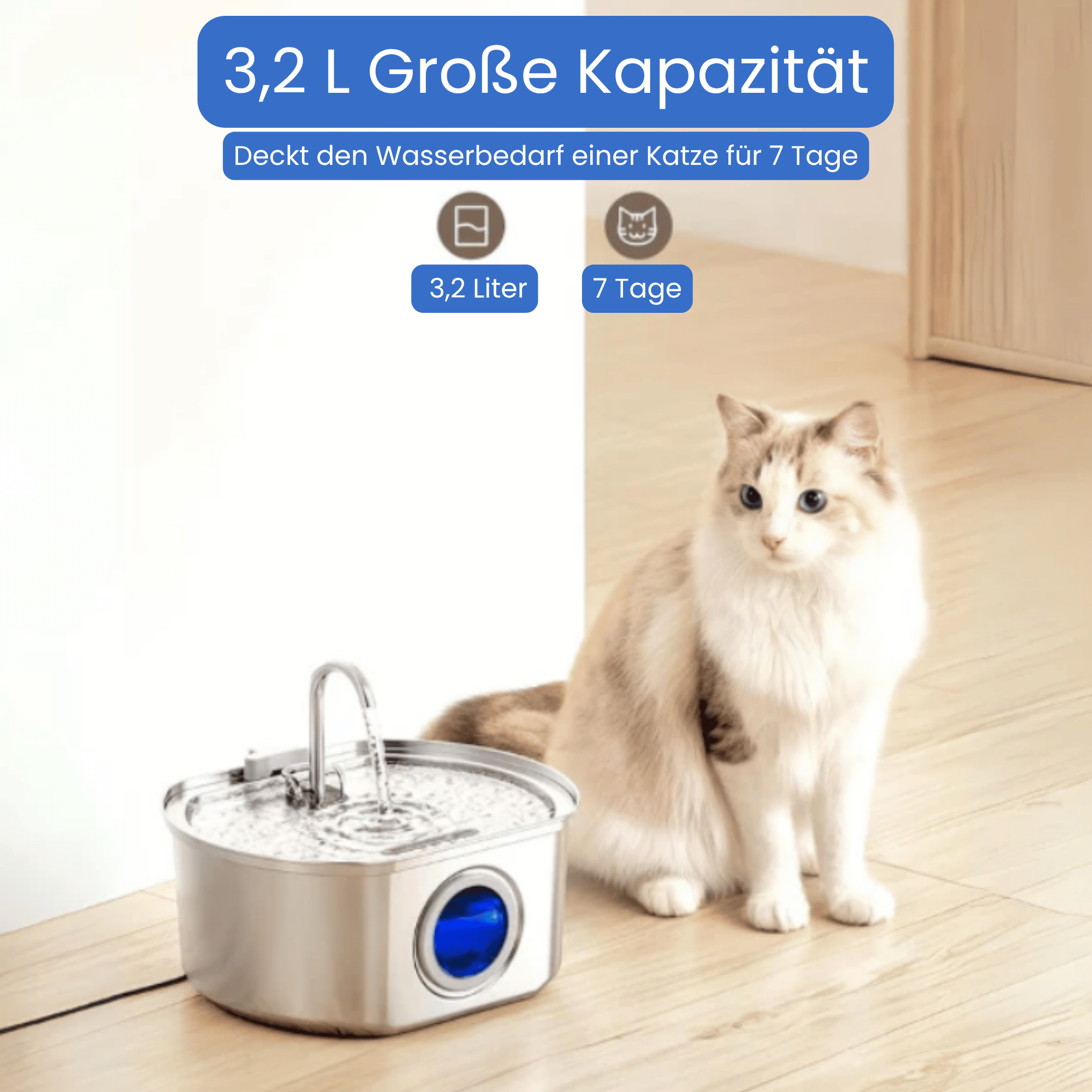 KatzenQuelle™